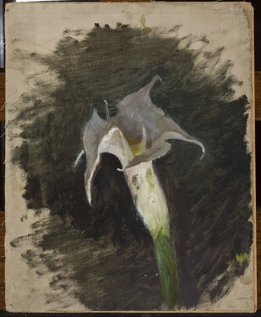 Flower, by Jan Ciągliński