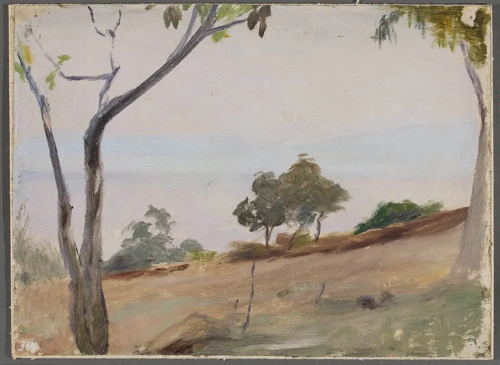 Landscape with trees. From the journey to Constantinople, by Jan Ciągliński