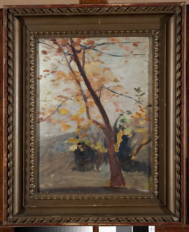 Tree sketch – Massandra. From the journey to Crimea, by Jan Ciągliński