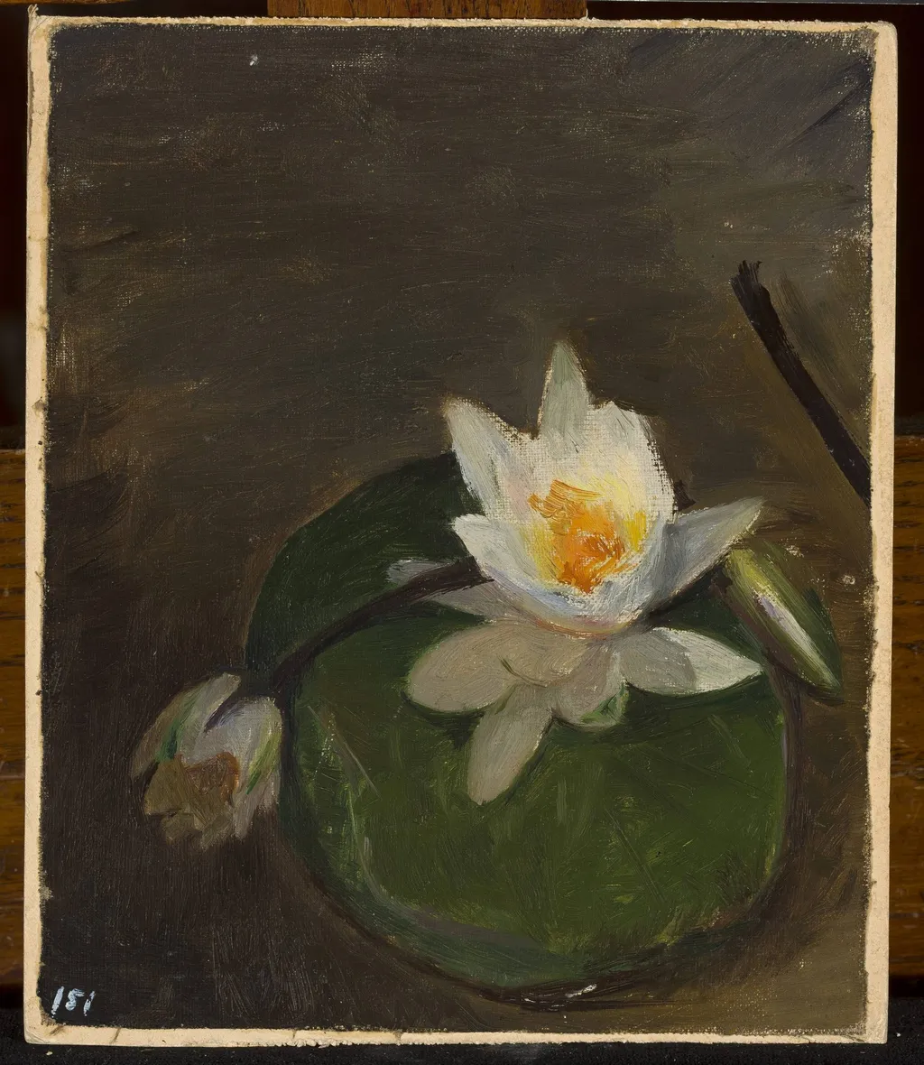Two water lilies on a leaf, by Jan Ciągliński, unspecified, 1895