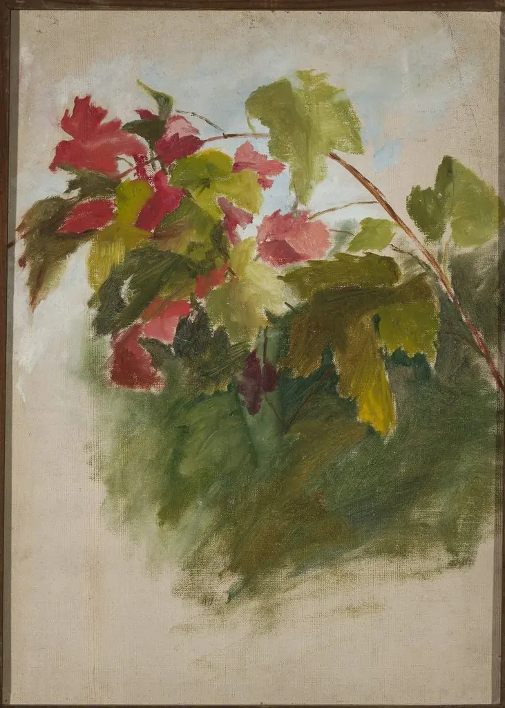 Vine leaves, by Jan Ciągliński