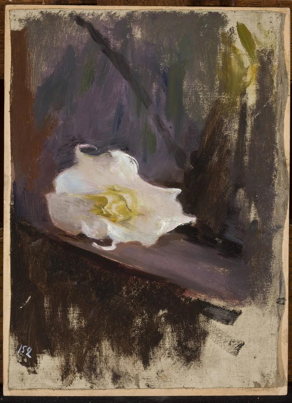 White flower, study, by Jan Ciągliński, unspecified, 1895