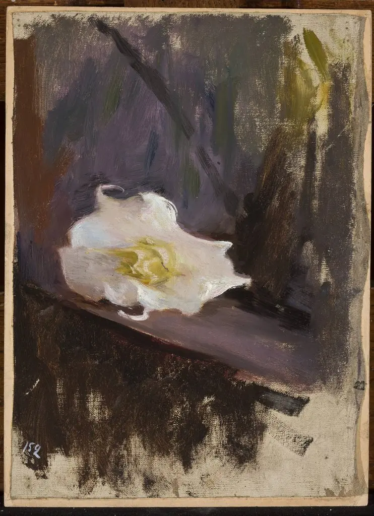 White flower, study, by Jan Ciągliński