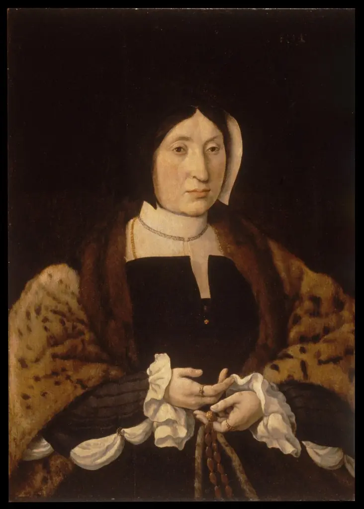 Portrait of a Woman in a Leopard Cloak, by Jan Cornelisz Vermeyen
