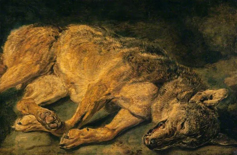 A Dead Wolf, by Jan Fyt, oil, 1651
