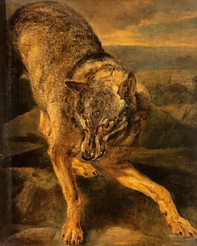 A Wolf, by Jan Fyt