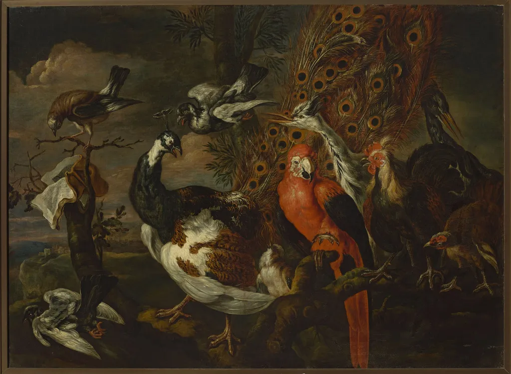 Bird concert, by Jan Fyt, oil, 1650