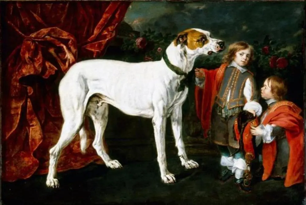 Boy and dwarf with a dog, by Jan Fyt