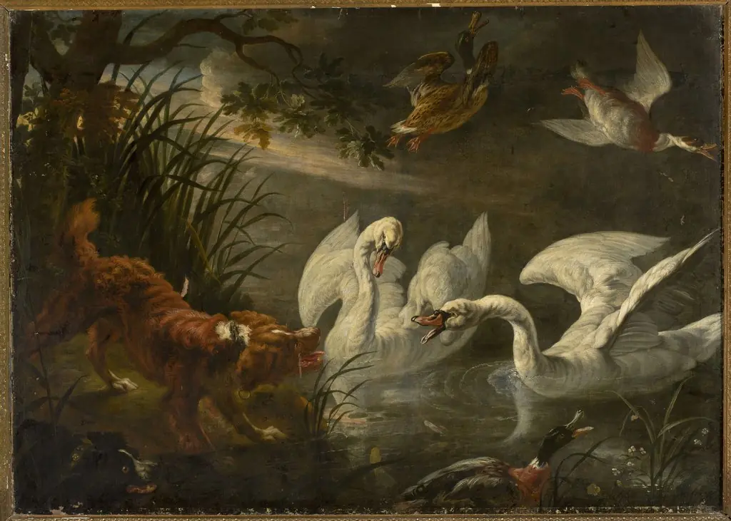 Dog and swans, by Jan Fyt