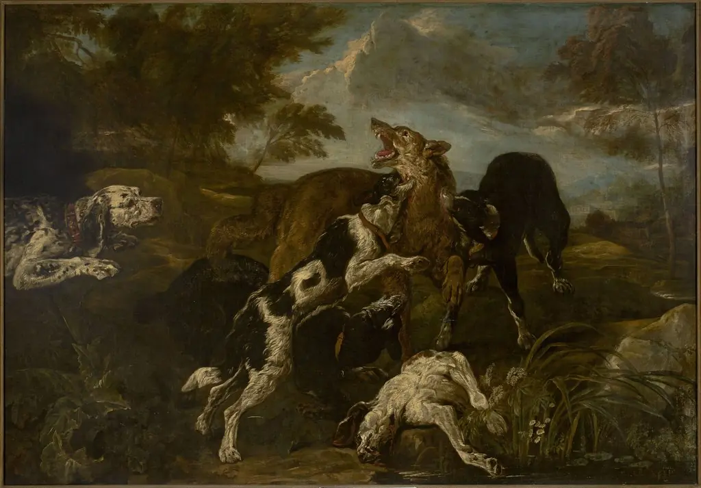 Dogs fighting a wolf, by Jan Fyt