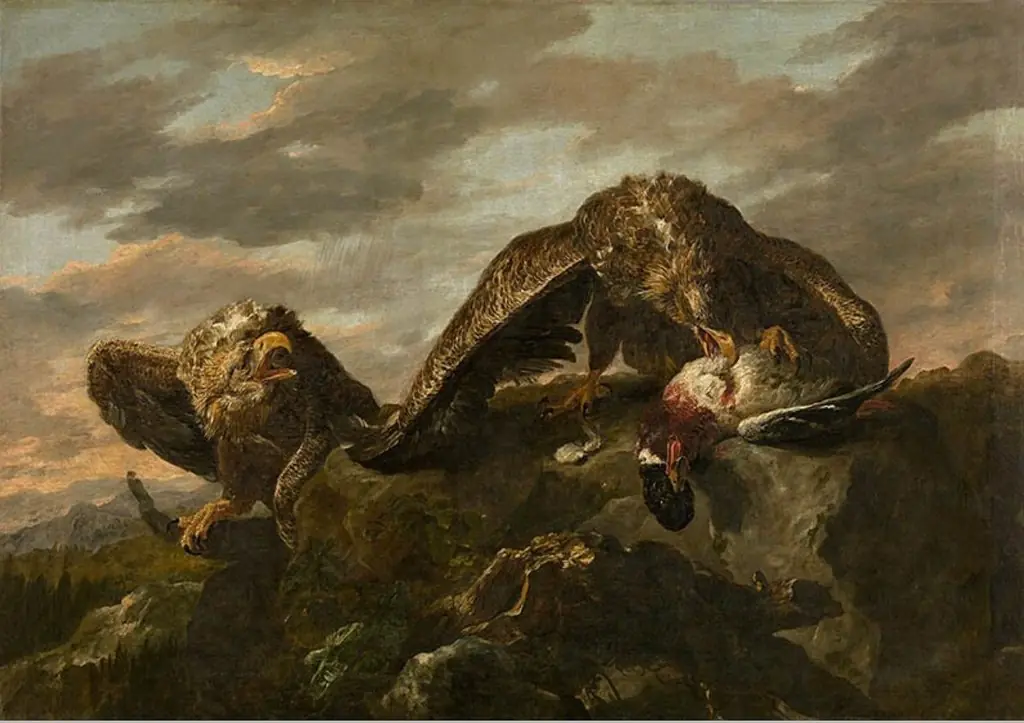 Eagles, by Jan Fyt