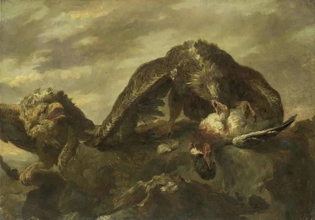 Eagles on Rocks