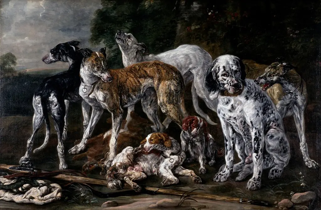 Hounds Resting from the Chase, by Jan Fyt