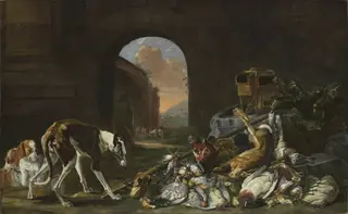 Hunting prey guarded by dogs