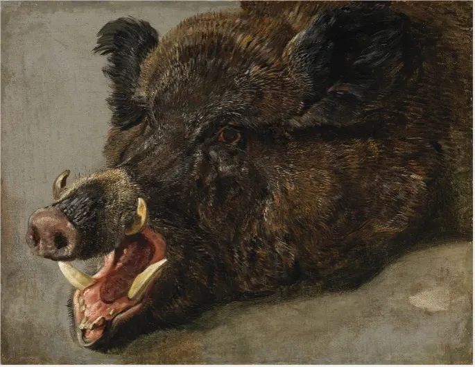 The Head of a Wild Boar, by Jan Fyt, oil, 1650