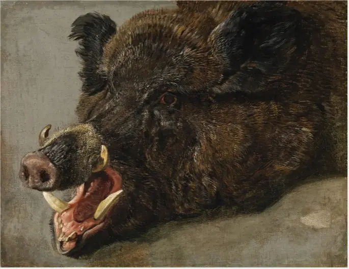 The Head of a Wild Boar, by Jan Fyt