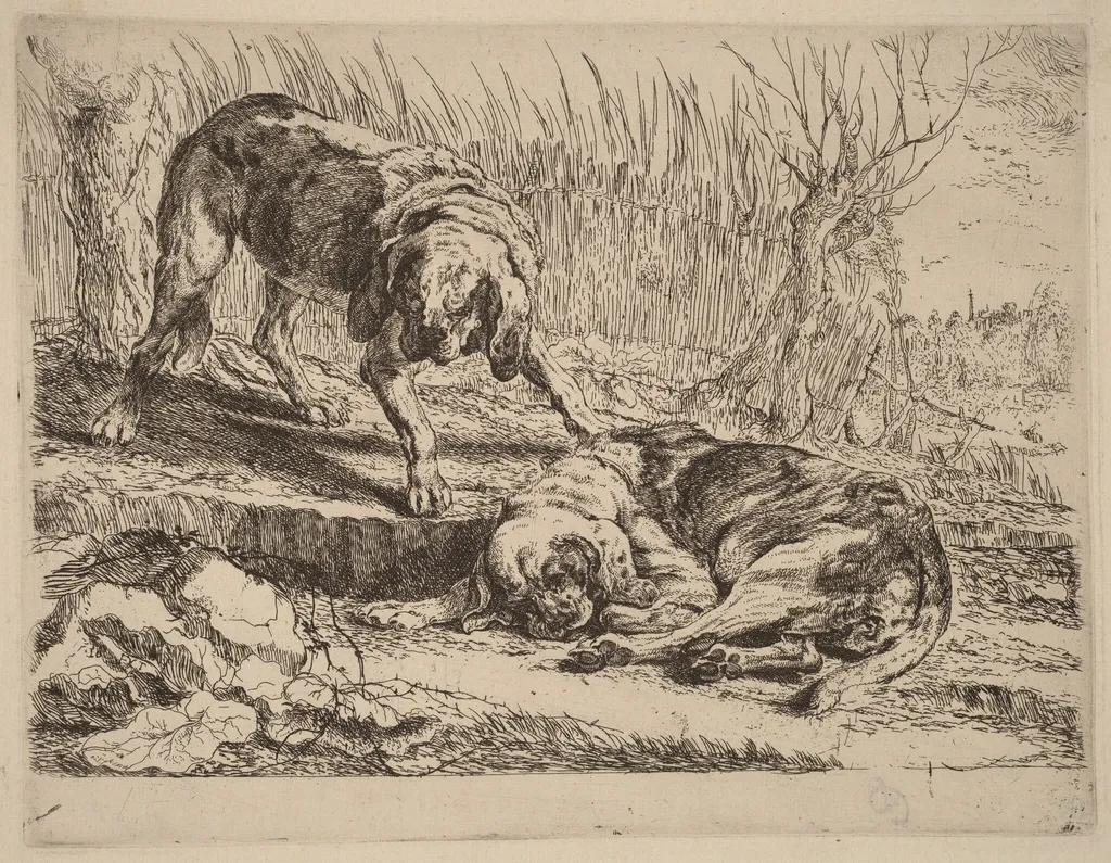 Two Beagles, One Sleeping, by Jan Fyt, ink, 1642