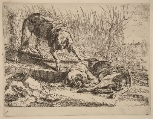 Two Beagles, One Sleeping, by Jan Fyt