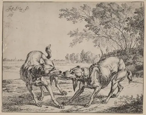 The Disputed Meat (La viande disputé), by Jan le Ducq