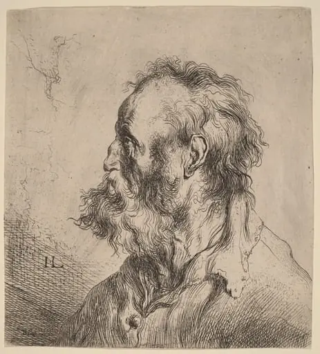 Bust of a Bearded Old Man, by Jan Lievens