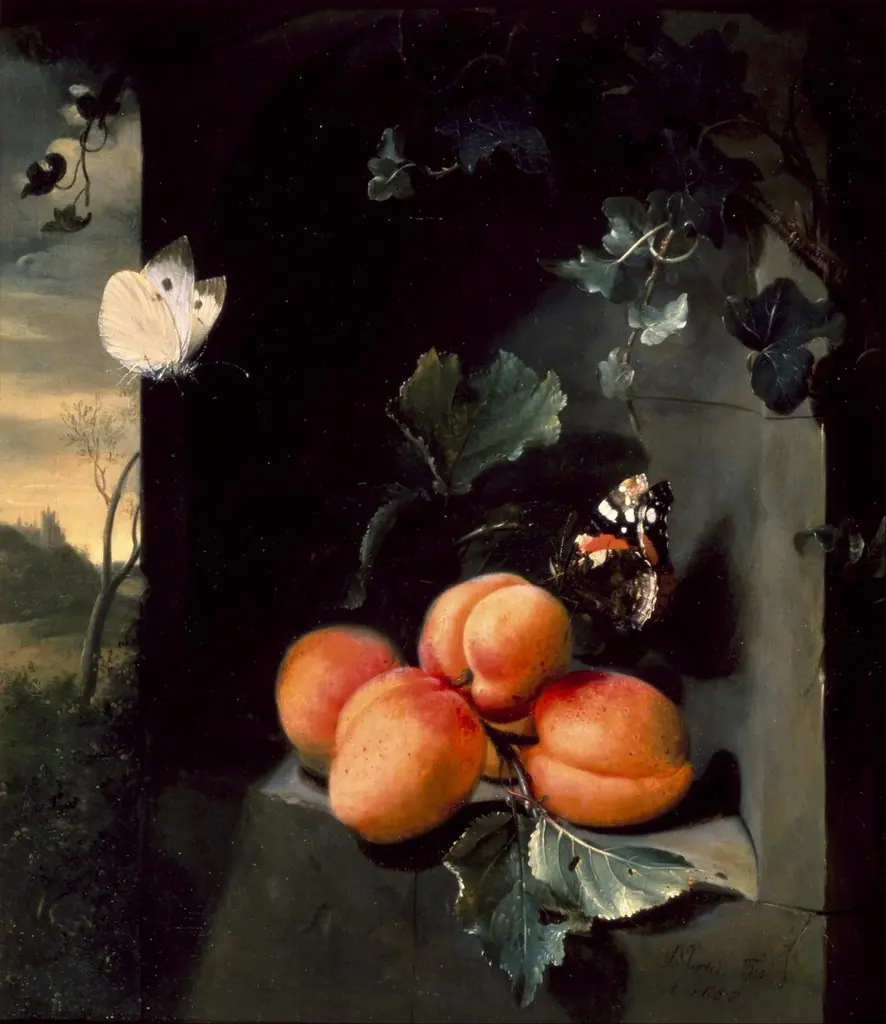 Still Life with Apricots and Butterflies, by Jan Mortel