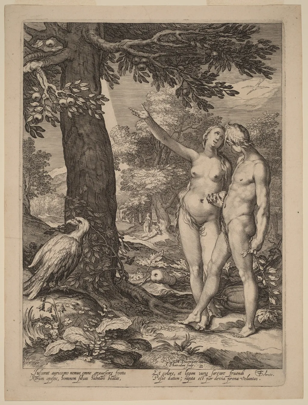 Adam and Eve before the Tree of Knowledge, by Jan Pietersz Saenredam, ink, 1604