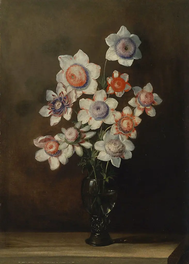 Glass with Anemones, by Jan van den Hecke