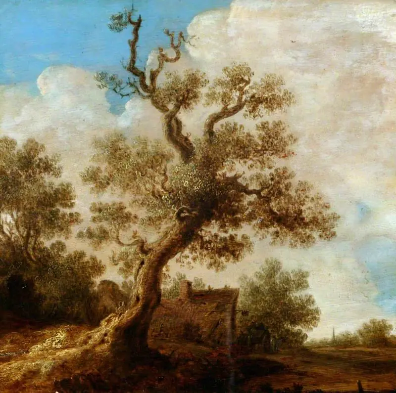 Landscape with a Wayside Inn, by Jan van Goyen