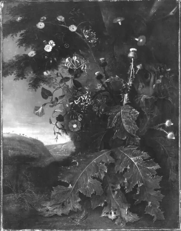 Blumen- und Distelstück in einer Landschaft, by Jan van Huysum