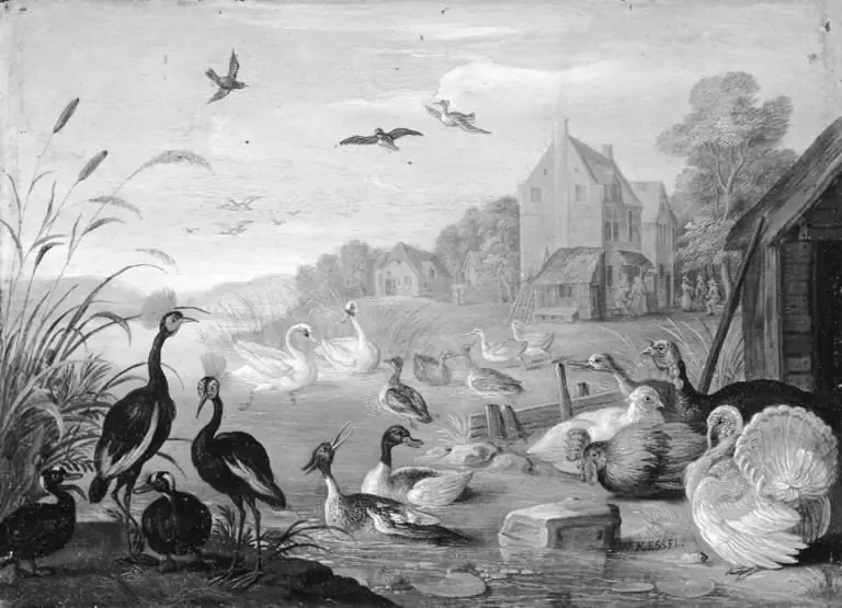 A River Landscape with Turkeys and Poultry, by Jan van Kessel the Elder