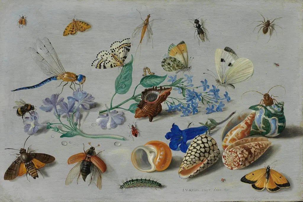 Butterflies and other insects, by Jan van Kessel the Elder