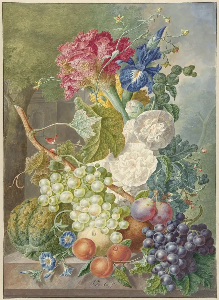 Still life of Plants, Flowers and Fruit, by Jan van Os
