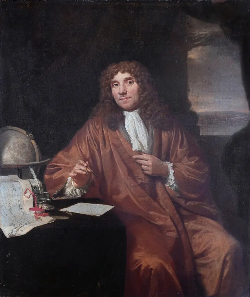 Portrait of Anthonie van Leeuwenhoek, Natural Philosopher and Zoologist in Delft, by Jan Verkolje
