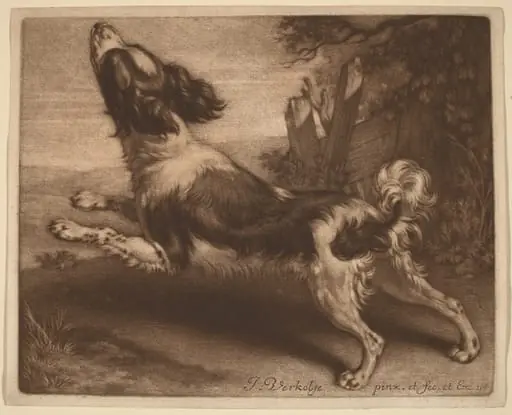 A Spaniel Jumping, by Jan Verkolje I