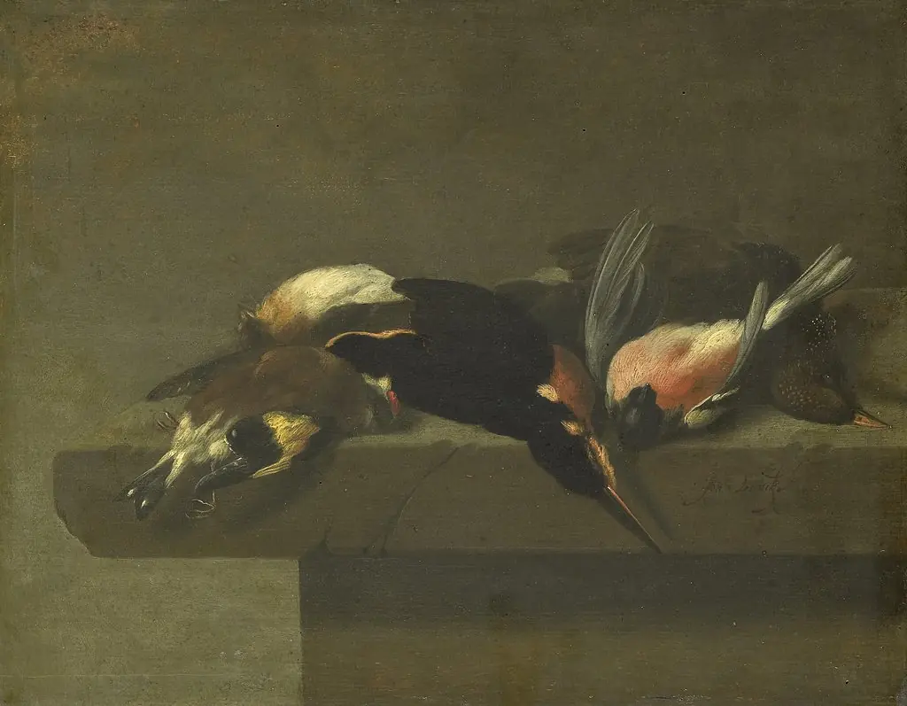 Dead birds, by Jan Vonck