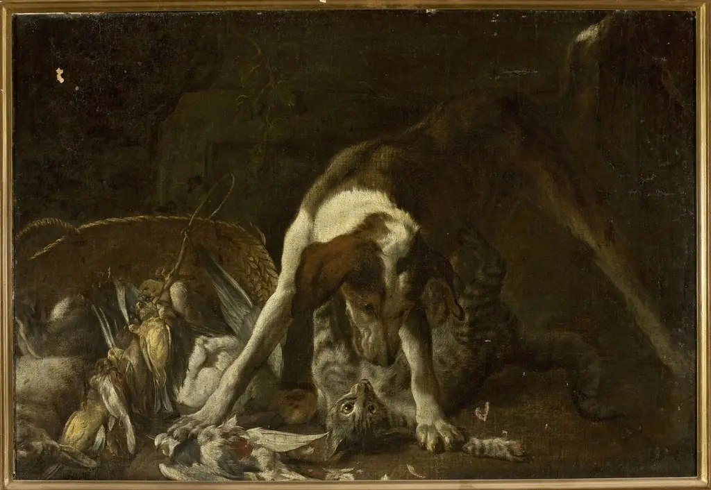 Dog attacking a cat, by Jan Vonck