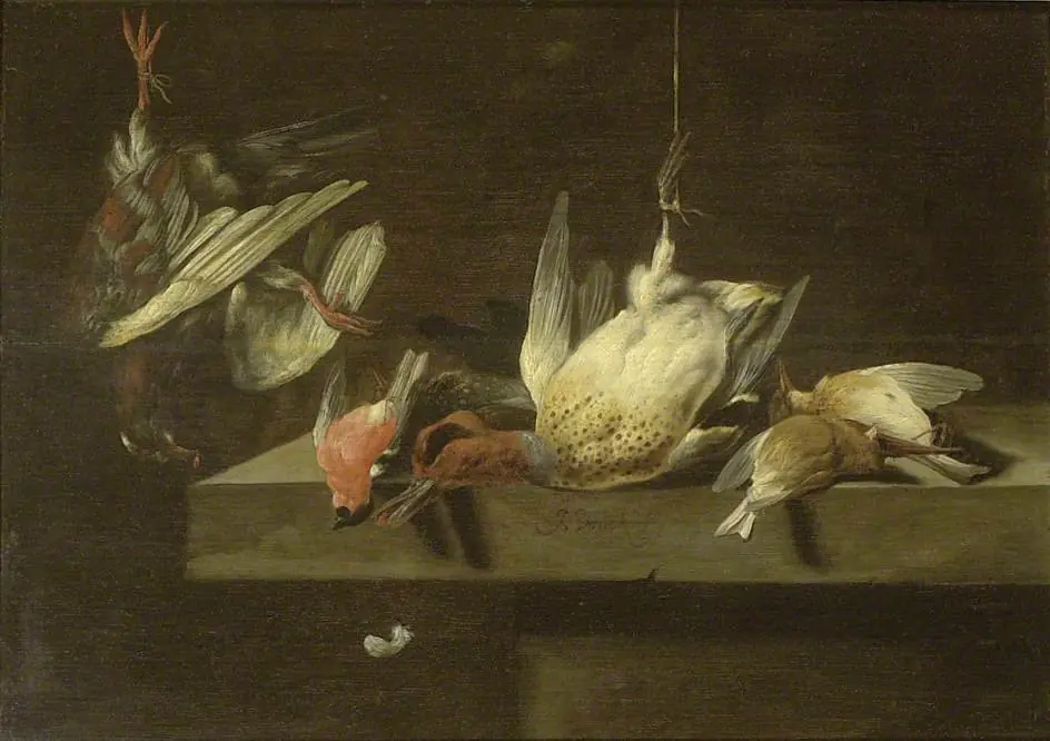 Still Life of dead Birds, by Jan Vonck