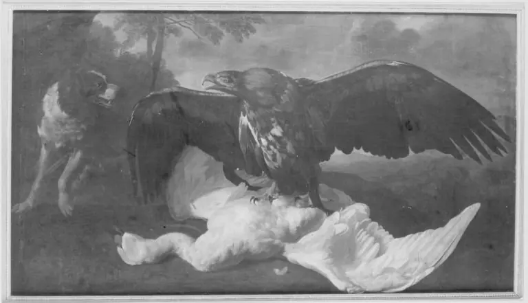Stillleben mit Adler, Hund und totem Schwan (zugeschrieben), by Jan Weenix