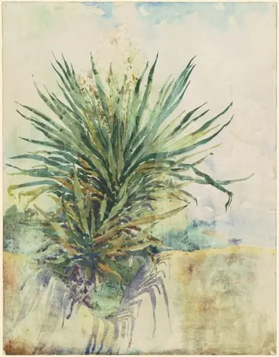 Tropical Plant [recto], by Jane C. Stanley