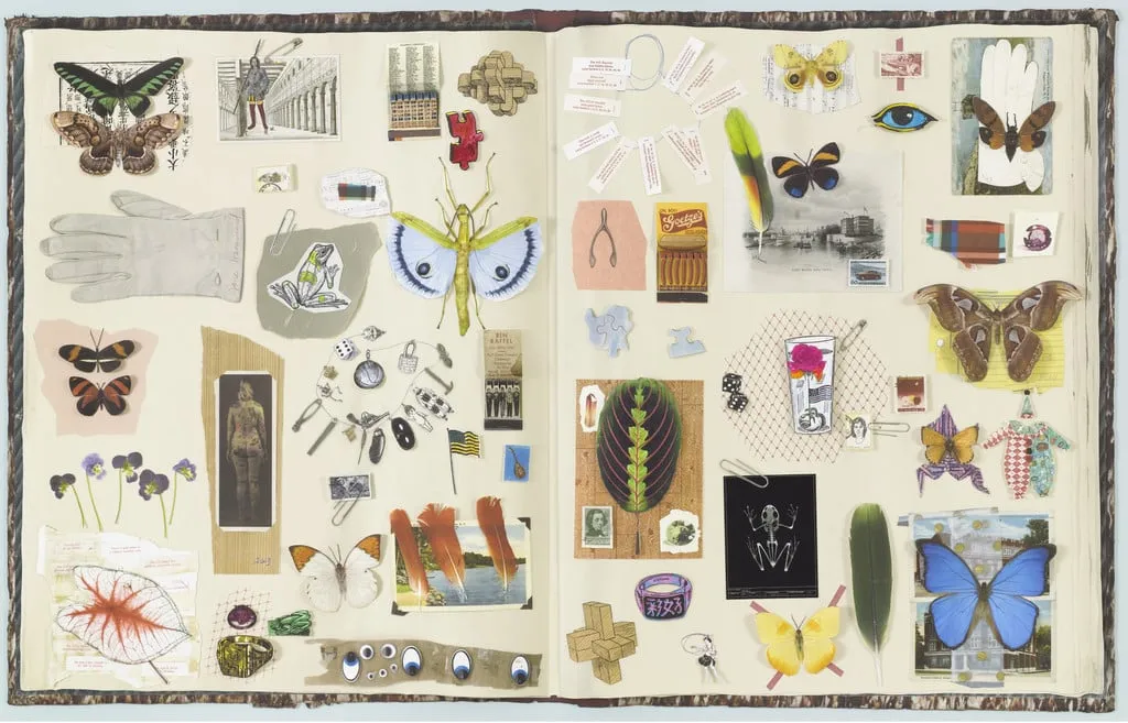 Untitled, by Jane Hammond, watercolor, 2003