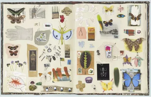 Untitled, by Jane Hammond