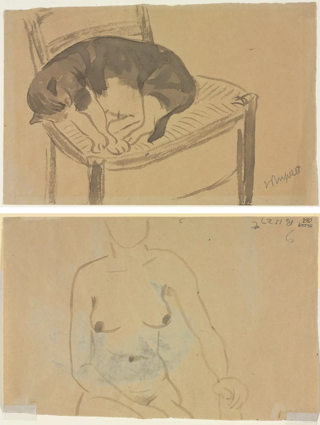 Sleeping Cat (recto) Torso of a Nude Woman (verso), by Jane Poupelet, 1904