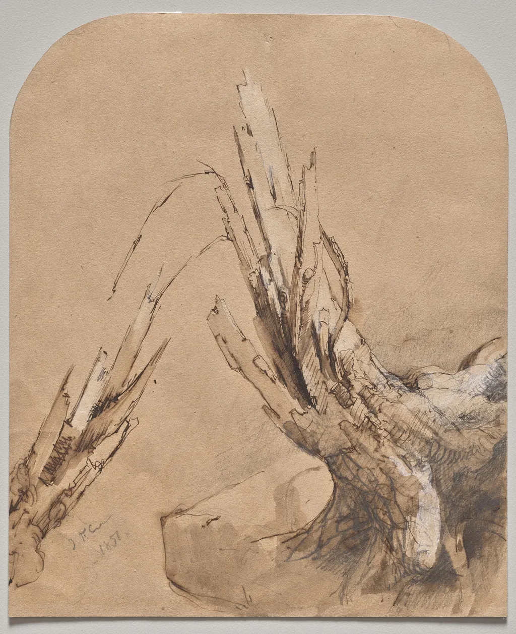 A Blasted Tree (recto), by Jasper Francis Cropsey, 1851