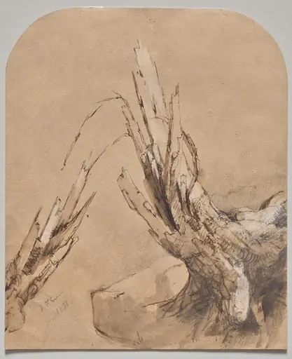 A Blasted Tree (recto), by Jasper Francis Cropsey
