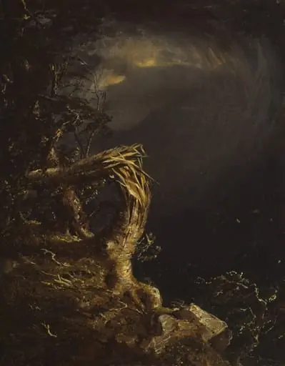 Blasted Tree, by Jasper Francis Cropsey