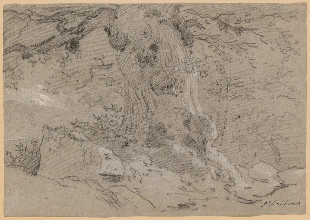 Study of Old Tree Trunk, by Jean Antoine Linck, 1814