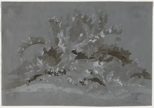 Study of Weeds, by Jean Antoine Linck
