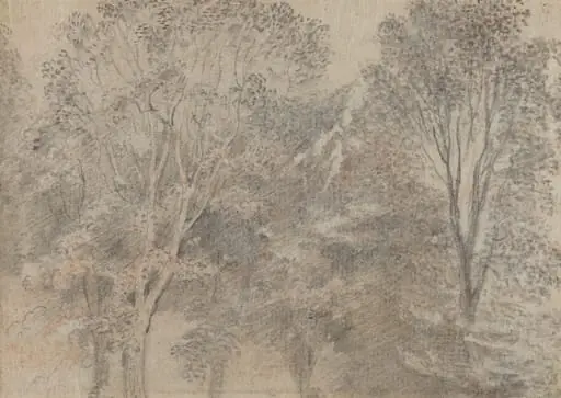 Treetops [verso], by Jean Antoine Watteau