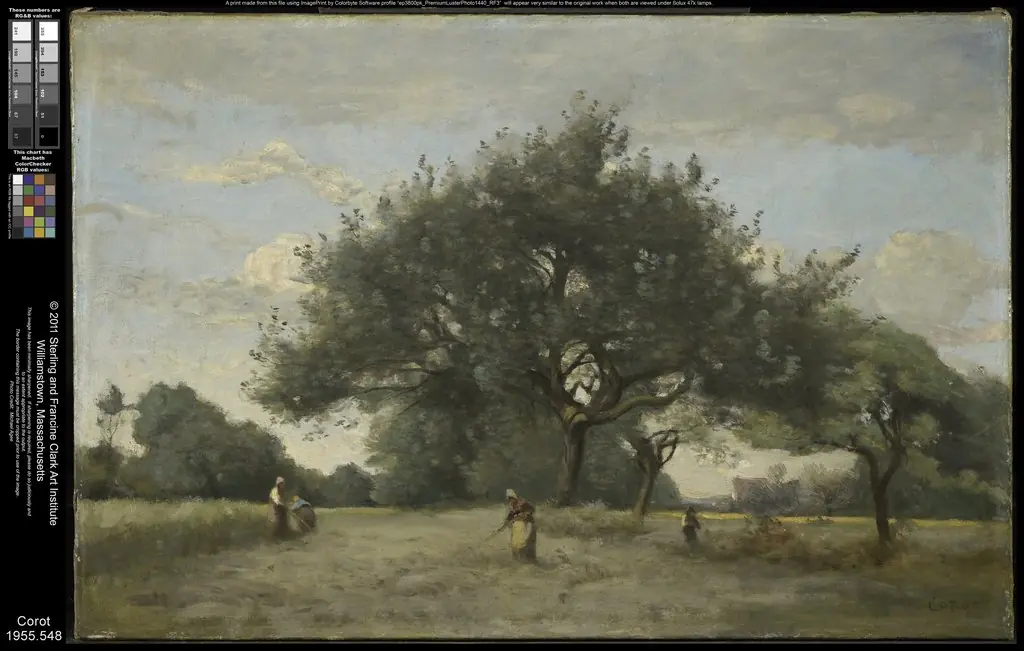 Apple Trees in a Field, by Jean Baptiste Camille Corot