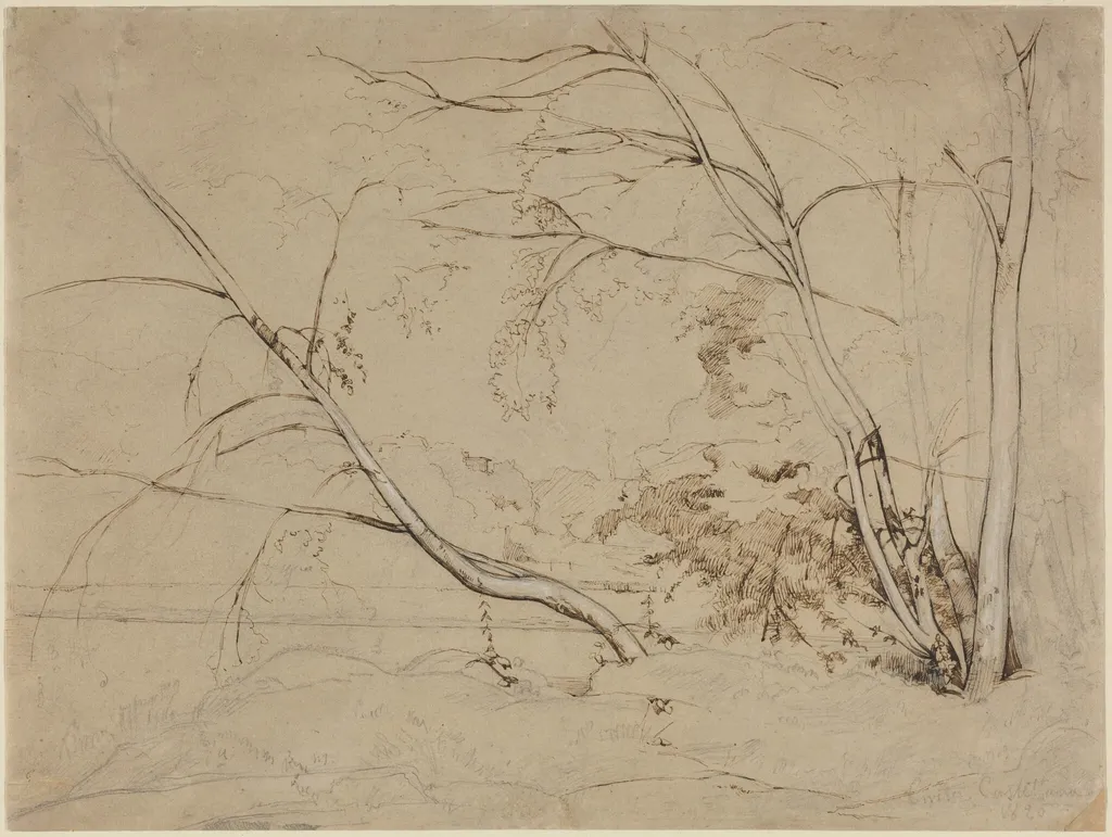 Clump of Trees at Civita Castellana, by Jean Baptiste Camille Corot, ink, 1826